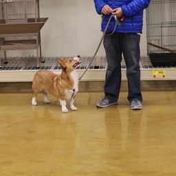 photograph by PeterW